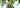 A Brief Introduction to Modal Clothing Fabric in 2025