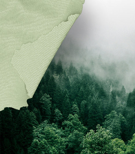 Lyocell Fabric of 2025