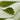 Cotton interlock knit fabric close-up with edge structure detail and soft hand feel for modern casualwear and everyday apparel.
