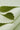 Cotton interlock knit fabric close-up with edge structure detail and soft hand feel for modern casualwear and everyday apparel.
