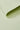 Cotton interlock knit fabric close-up with folded edge detail and stable structure for casualwear and everyday apparel.
