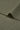 Mousse cashmere warm stretch rib knit fabric close-up with surface edge detail and comfortable stretch for modern knitwear.